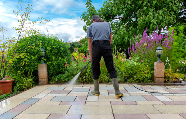 Best Patio and Deck Pressure Washing  in San Augustine, TX