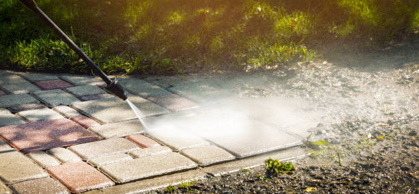 Solar Panel Cleaning in San Augustine, TX